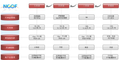 OTN精品專線成行業(yè)趨勢(shì)，謹(jǐn)防服務(wù)品質(zhì)“開倒車” 信息系統(tǒng)集成服務(wù)的挑戰(zhàn)與應(yīng)對(duì)